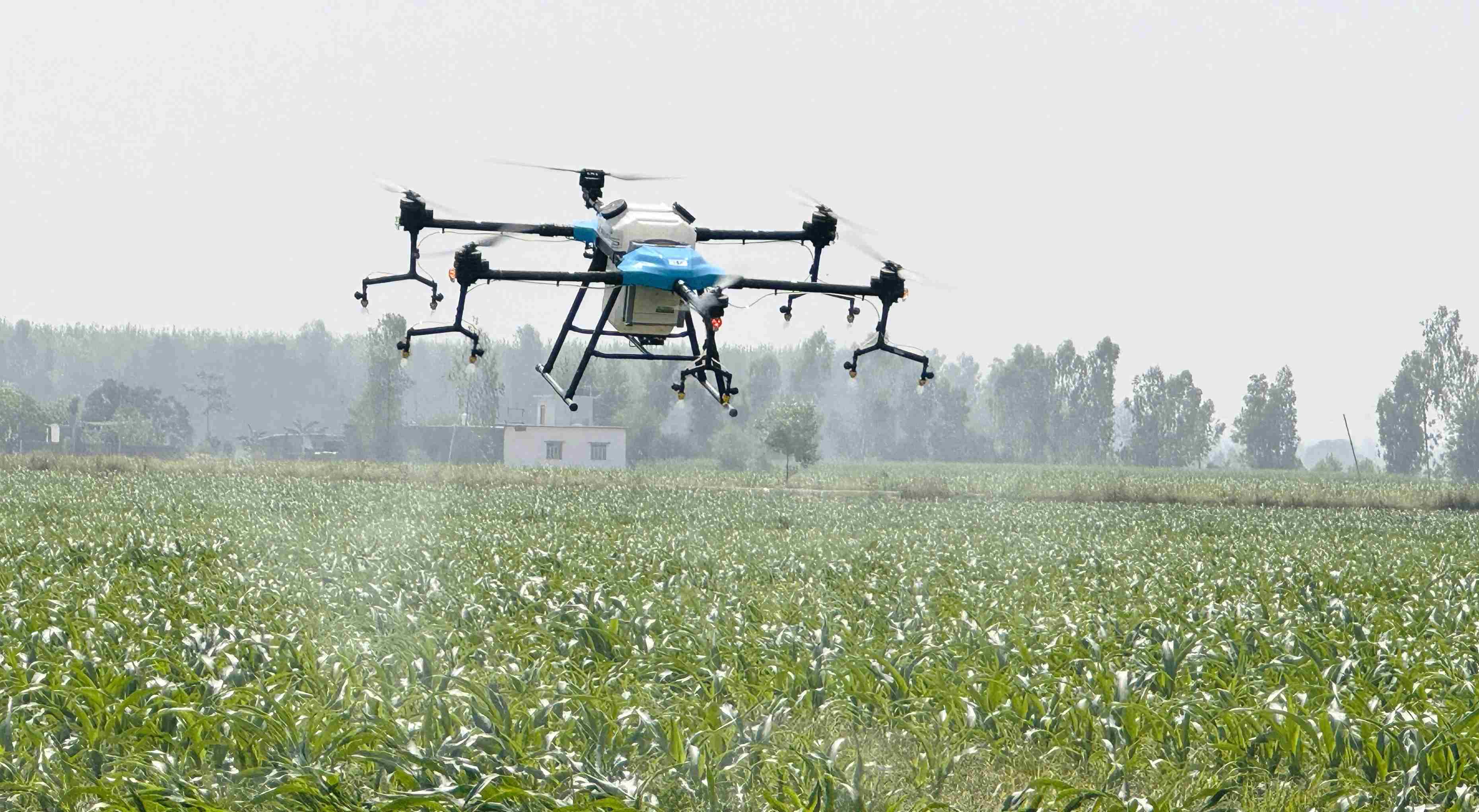 Eco-Friendly Operation